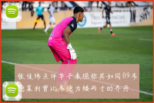 张佳玮点评华子表现称其如同09韦德莱利曾比韦德为矮两寸的乔丹